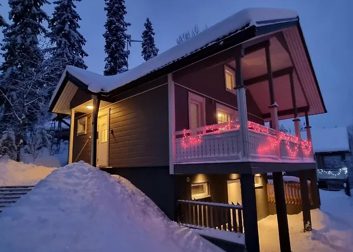 Magnolia 1 Himos Дом отдыха *